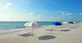 Miami Beach Resort & Spa | Florida - Miami Beach - Mid Plajı