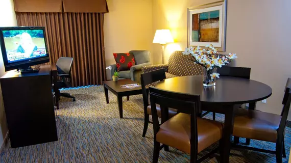 Holiday Inn Express San Clemente North | Kaliforniya - Orange County - San Clemente