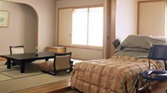 Takayama Green Hotel | Gifu (idari bölge) - Takayama - Hida Takayama Japon Kaplıcası