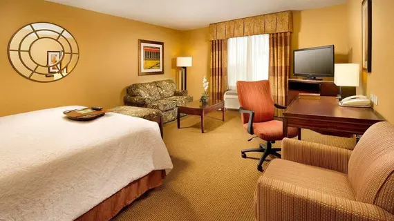 Hampton Inn and Suites San Antonio Airport | Teksas - San Antonio (ve civarı) - San Antonio - Kuzey San Antonio - SAT Havalimanı