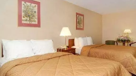 Comfort Inn Clarks Summit | Pensilvanya - Scranton (ve civarı) - Clarks Summit