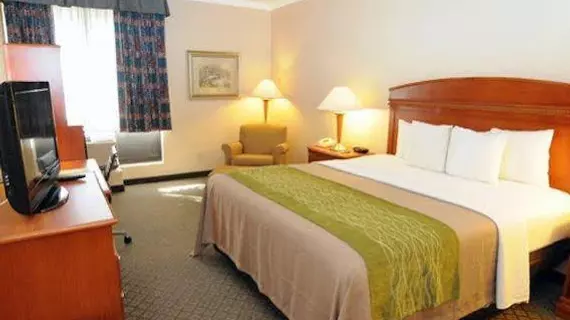 Comfort Inn Anaheim Resort | Kaliforniya - Orange County - Anaheim - Anaheim Resort