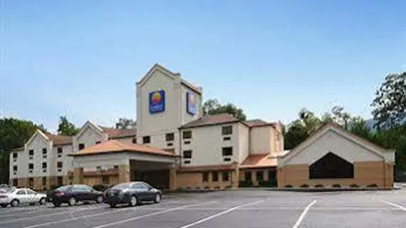 Comfort Inn & Suites Lavale | Maryland - Cumberland (ve civarı) - LaVale