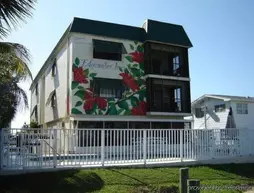 Edgewater Inn | Florida - Fort Myers (ve civarı) - Fort Myers Beach