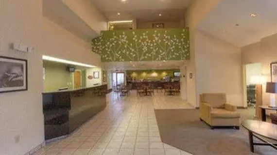 Sleep Inn Murfreesboro | Tennessee - Nashville-Davidson - Nashville (ve civarı) - Murfreesboro