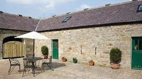 Wydon Farm B&B | Northumberland (kontluk) - Haltwhistle