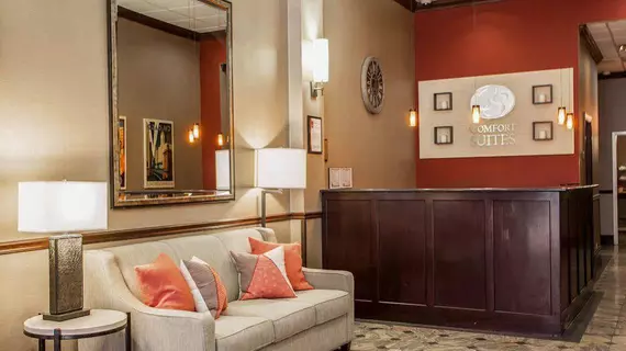 Comfort Suites Michigan Avenue | İllinois - Chicago (ve civarı) - Chicago - The Loop