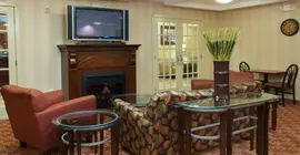 Holiday Inn Express Leesville | Louisiana - Leesville (ve civarı) - New Llano