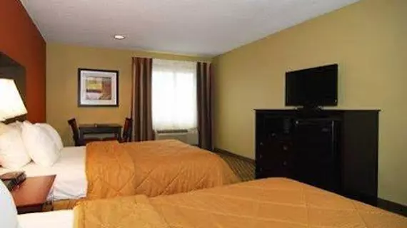 Comfort Inn Pine Bluff | Arkansas - Pine Bluff (ve civarı) - Pine Bluff