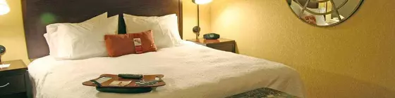 Hampton Inn and Suites San Antonio Airport | Teksas - San Antonio (ve civarı) - San Antonio - Kuzey San Antonio - SAT Havalimanı