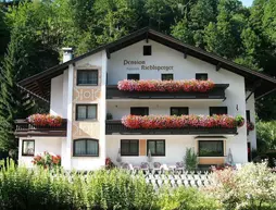 Pension Riedlsperger | Salzburg (eyalet) - Zell am See - Saalbach-Hinterglemm