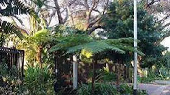 The Coral Tree House | Gauteng - City of Tshwane - Johannesburg (ve civarı) - Pretoria