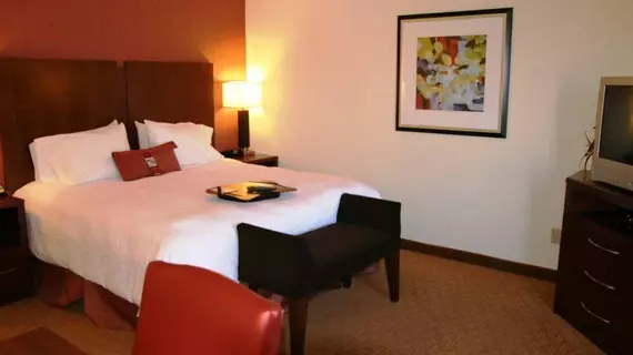 Hampton Inn & Suites Las Vegas-Red Rock/Summerlin | Nevada - Clark County - Las Vegas (ve civarı) - Las Vegas