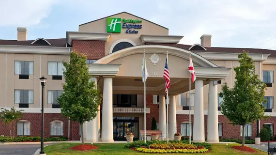 Holiday Inn Express Hotel & Suites Pell City | Alabama - Oxford (ve civarı) - Pell City