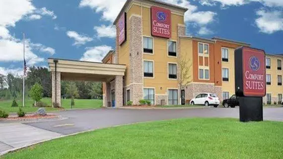 Comfort Suites Hudson | Wisconsin - Hudson (ve civarı) - Hudson