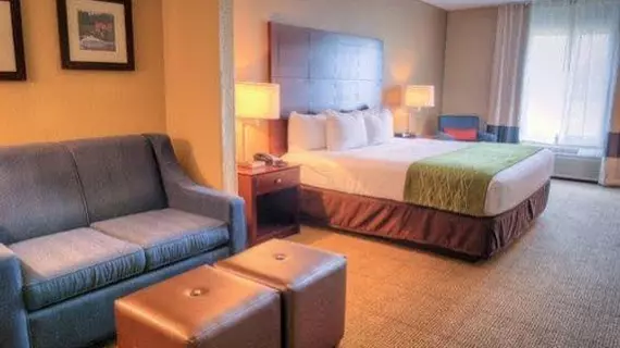 Comfort Inn Demopolis | Alabama - Demopolis (ve civarı) - Demopolis