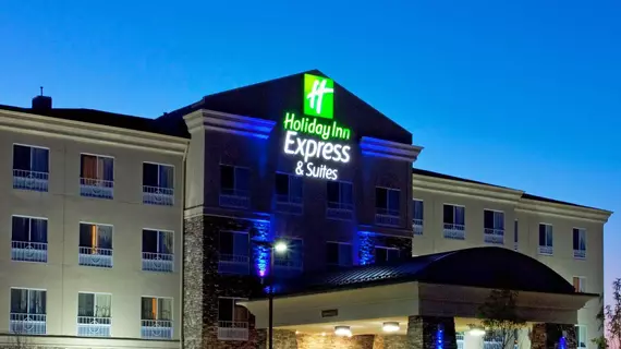 Holiday Inn Express Hotel & Suites Waukegan/Gurnee | İllinois - Waukegan