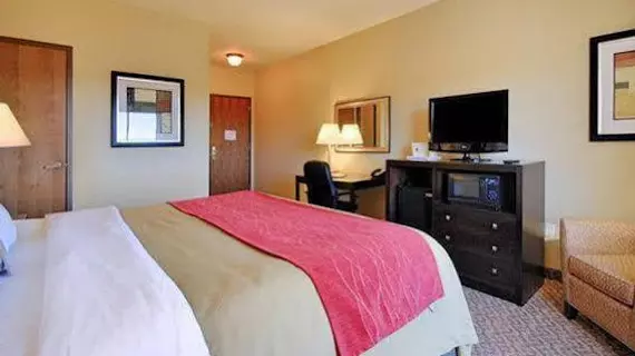 Comfort Inn & Suites Scottsboro | Alabama - Scottsboro (ve civarı) - Scottsboro