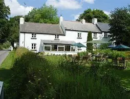 Beechwood B&B | Devon (kontluk) - Yelverton