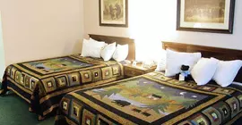 Black Bear Inn Conference Center and Suites | Maine - Bangor (ve civarı) - Orono