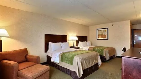 Comfort Inn Lansing | Michigan - Lansing (ve civarı) - Lansing