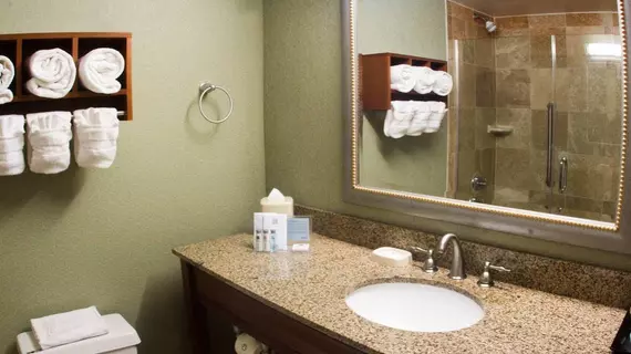 Hampton Inn Miami-Coconut Grove/Coral Gables | Florida - Miami (ve civarı) - Miami - Coconut Grove