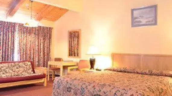 Butterfly Grove Inn | Kaliforniya - Monterey (ve civarı) - Pacific Grove