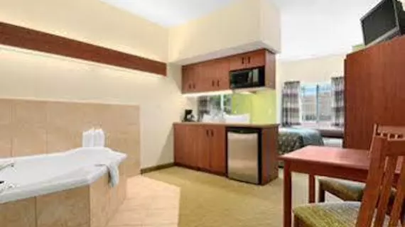 Microtel Inn & Suites by Wyndham Airport North | Teksas - San Antonio (ve civarı) - San Antonio - Kuzey San Antonio - SAT Havalimanı