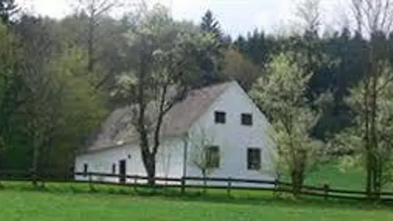 Schloss Ernegg | Lower Austria (Aşağı Avusturya) - Steinakirchen am Forst