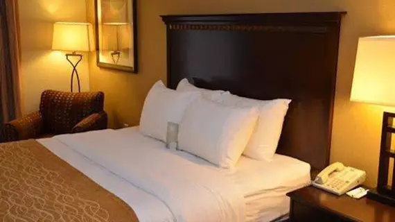 Comfort Inn & Suites Hot Springs | Arkansas - Hot Springs (ve civarı) - Hot Springs