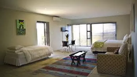 Orangerie Guesthouse | Gauteng - City of Tshwane - Johannesburg (ve civarı) - Randburg