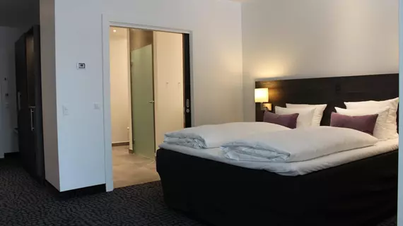 Copenhagen Mercur Hotel | Hovedstaden - Kopenhag (ve civarı) - Kopenhag