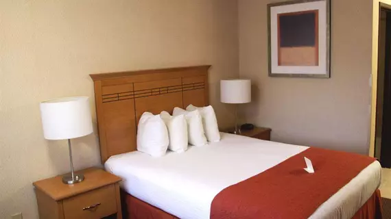 Best Western Aladdin Inn | Washington - Kelso - Longview (ve civarı) - Kelso