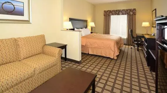 Comfort Inn & Suites Montgomery | Alabama - Montgomery (ve civarı) - Montgomery