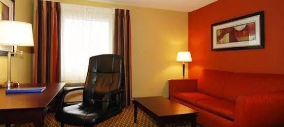 Comfort Inn Pine Bluff | Arkansas - Pine Bluff (ve civarı) - Pine Bluff