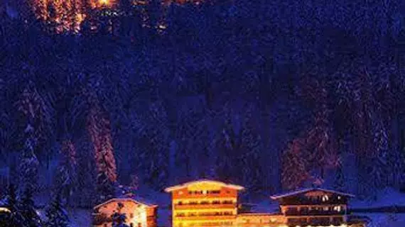 Hotel Des Alpes | Veneto - Belluno (vilayet) - Cortina d'Ampezzo