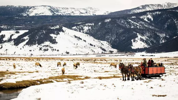 Four Seasons Resort and Residences Jackson Hole | Wyoming - Jackson Hole (ve civarı) - Teton Village