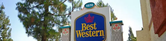 Best Western Courtesy Inn | Kaliforniya - Orange County - Anaheim - Anaheim Resort