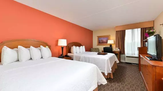 Hampton Inn Philadelphia/Bridgeport | New Jersey - Carneys Point (ve civarı) - Swedesboro