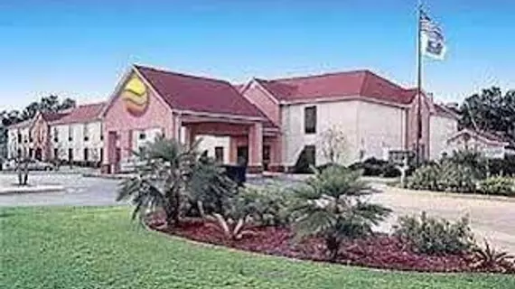 Comfort Inn Livingston | Alabama - Demopolis (ve civarı) - Livingston