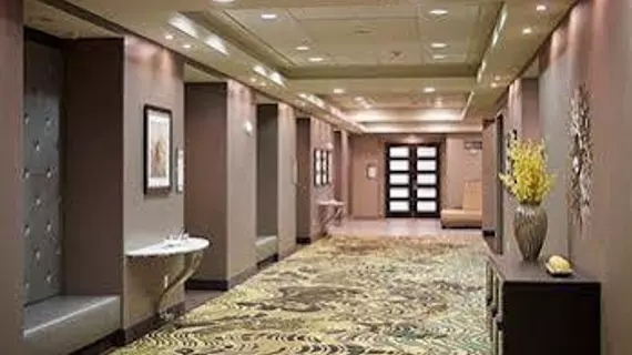 Homewood Suites by Hilton Hamilton | Ontario - Niagara Regional Belediyesi - Hamilton (ve civarı) - Hamilton