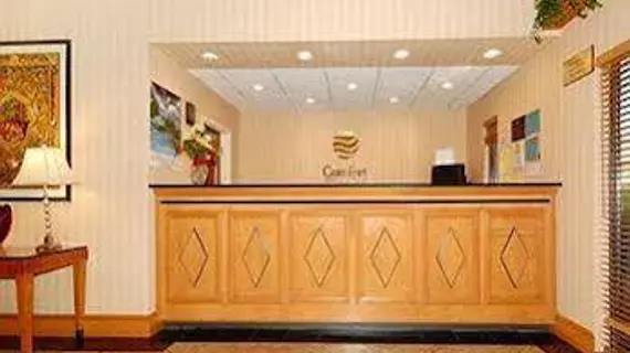 Comfort Inn & Suites Airport South | Georgia - Atlanta (ve civarı) - College Park