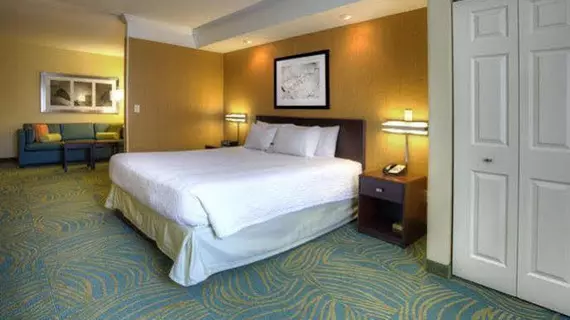 SpringHill Suites by Marriott - Tampa Brandon | Florida - Tampa (ve civarı) - Tampa