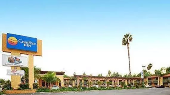 Stanford Inn & Suites Anaheim | Kaliforniya - Orange County - Anaheim - Anaheim Resort