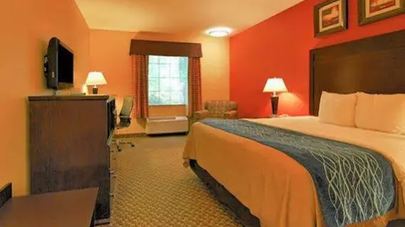 Comfort Inn Opelousas | Louisiana - Lafayette (ve civarı) - Opelousas