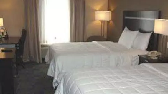 Holiday Inn Express and Suites Albany Airport- Wolf Road | New York - Albany (ve civarı) - Albany