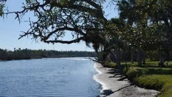 Ramblers Rest RV Campground | Florida - Sarasota (ve civarı) - Venice