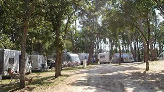 Villaggio Camping Bosco Selva | Puglia - Bari (il) - Alberobello