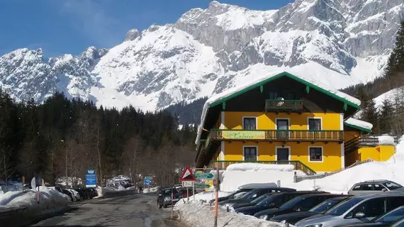 Gasthof Lederer Bike & Snow | Salzburg (eyalet) - Sankt Johann im Pongau - Muehlbach Am Hochkoenig