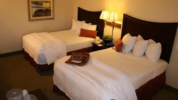 Hampton Inn San Antonio Downtown | Teksas - San Antonio (ve civarı) - San Antonio - San Antonio Merkezi